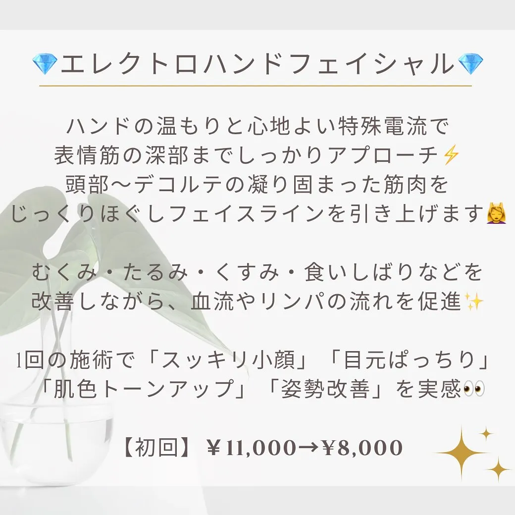 はじめましての方へ🌿