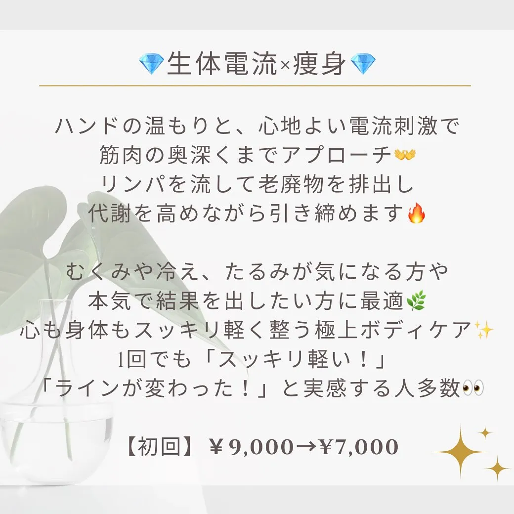 はじめましての方へ🌿