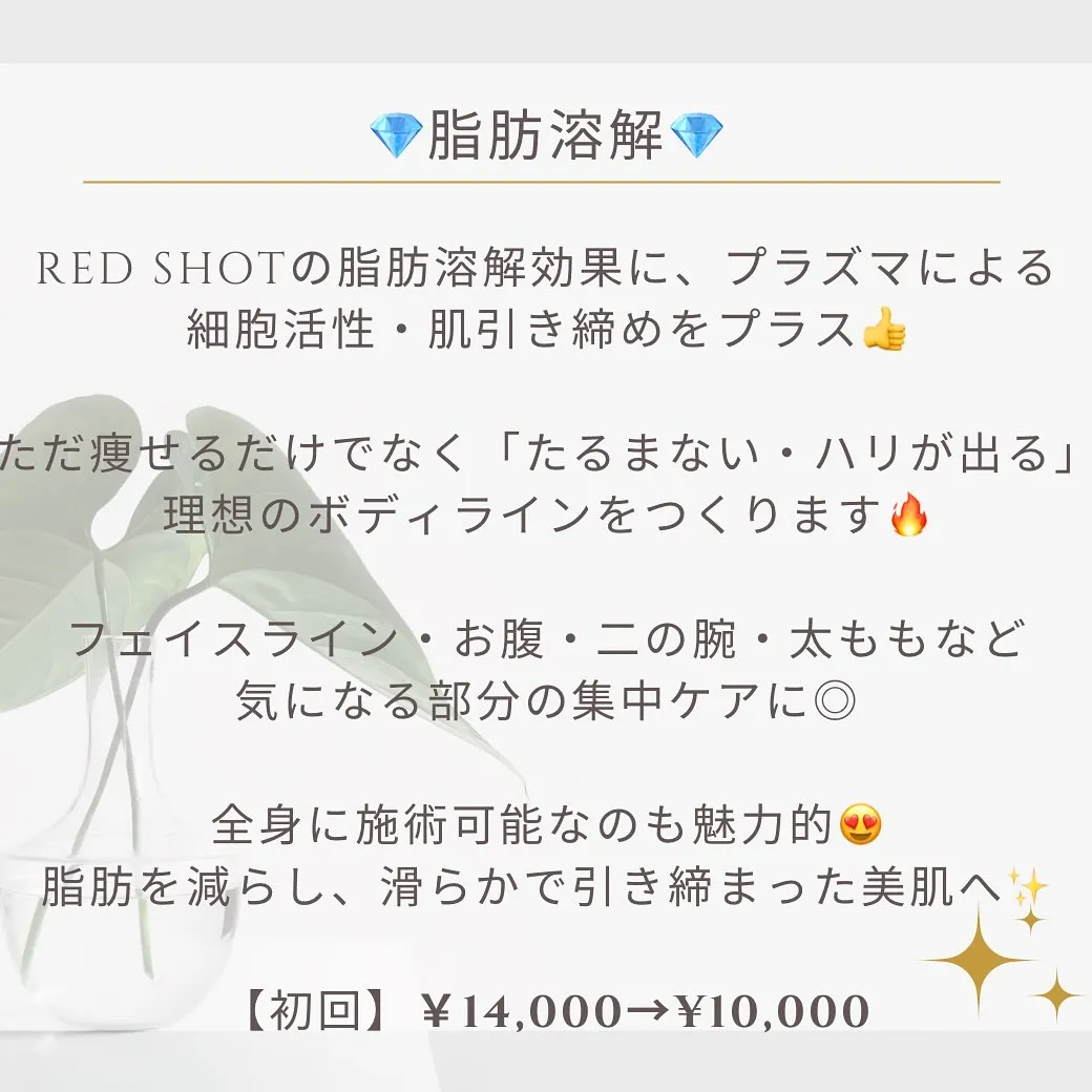 はじめましての方へ🌿