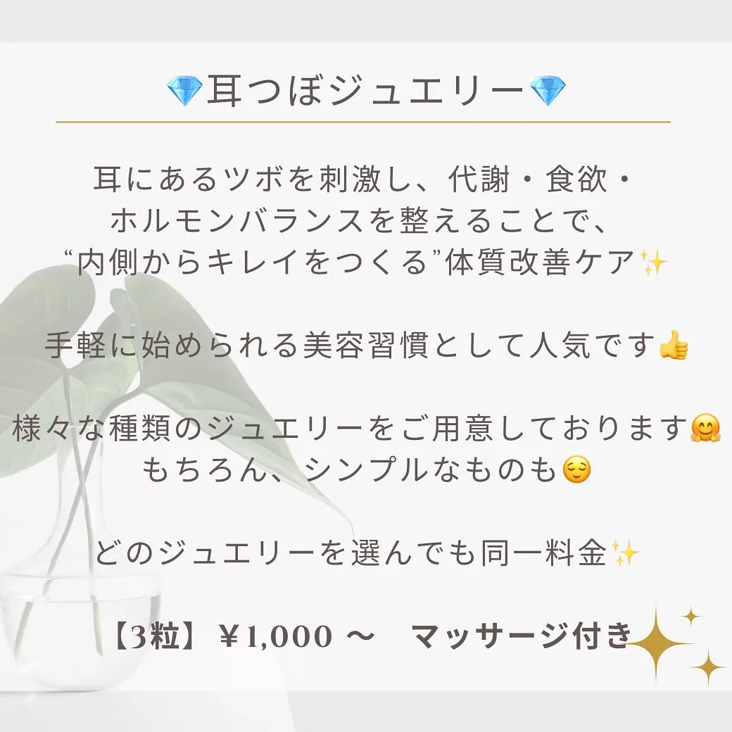 はじめましての方へ🌿