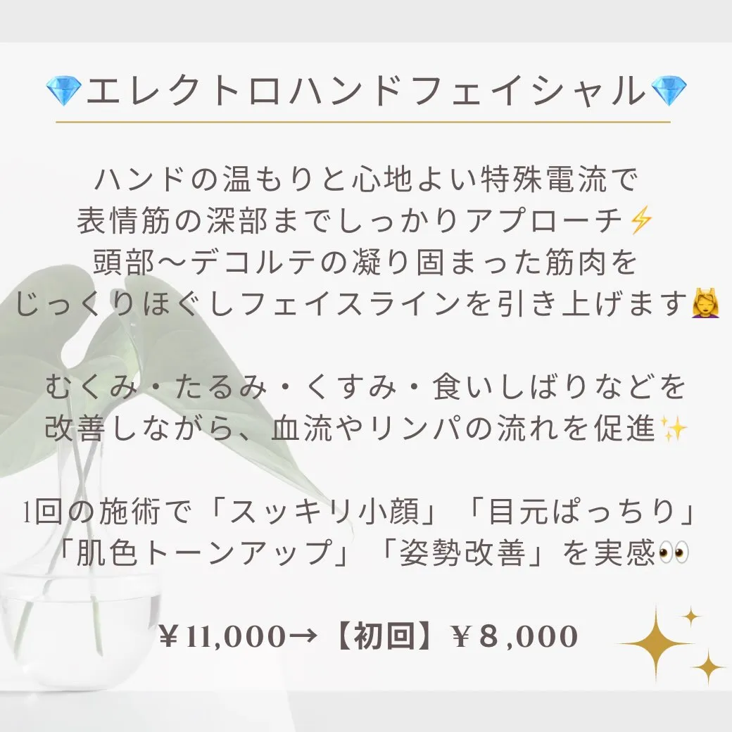 はじめましての方へ🌿
