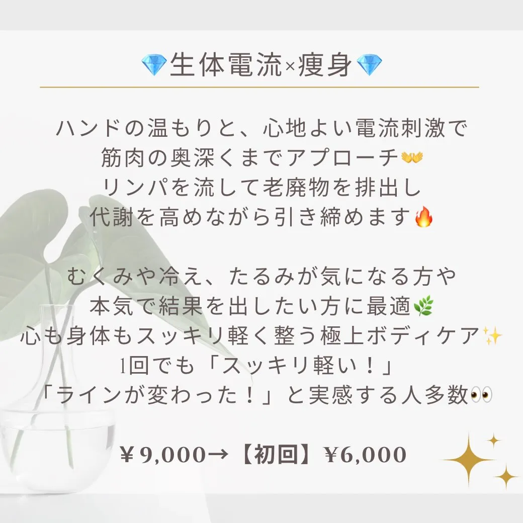はじめましての方へ🌿